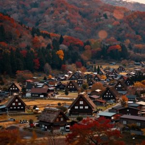 Scout's Japan View 1088