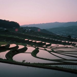 Scout's Japan View 1146