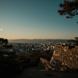 Scout's Japan View 1004