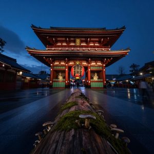Scout's Japan View 1306