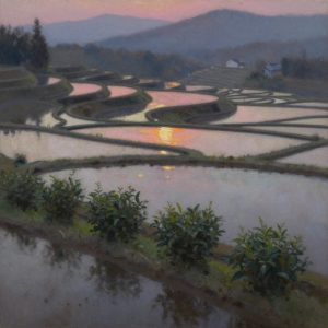 Scout's Japan View 2302